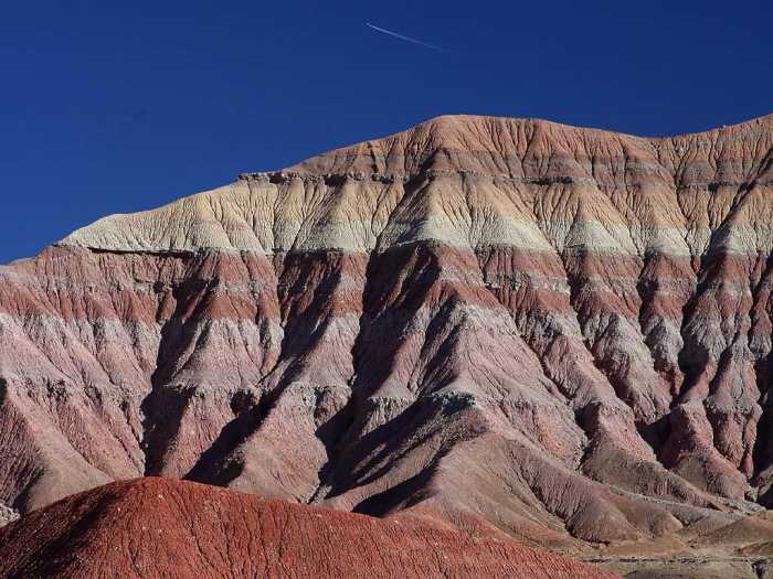 petrified forest painted desert