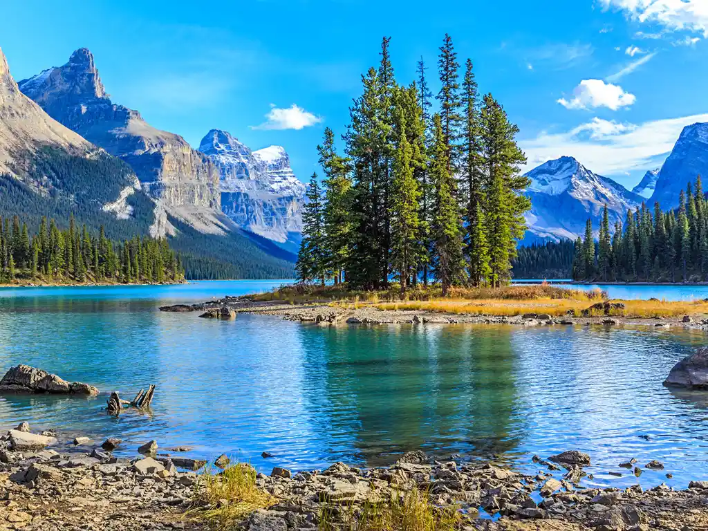 shutterstock_255015211