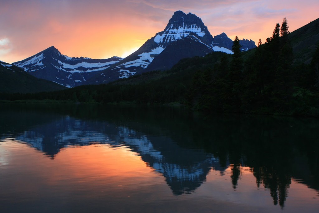 Yellowstone, Glacier & Grand Teton - Tracks & Trails