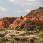 shutterstock_24928277