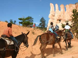 Family on mule ride in Bryce Canyon