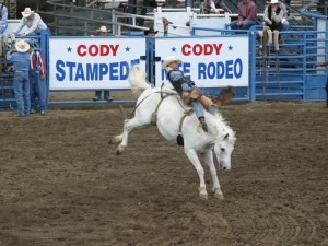 Cowboy riding a bucking horse in Cody Wyoming