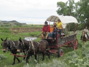 Family on a wagon ride in Yellowstone National Park