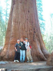 Father and two sons posing in front of a giant sequoia tree