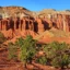 Capital Reef National Monument