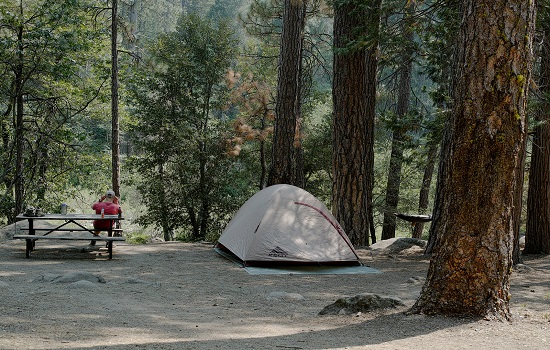 SM-Wawona Campground-Yosemite
