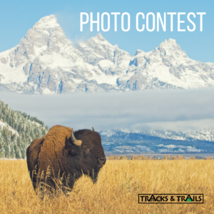 tracks & trails photo contest
