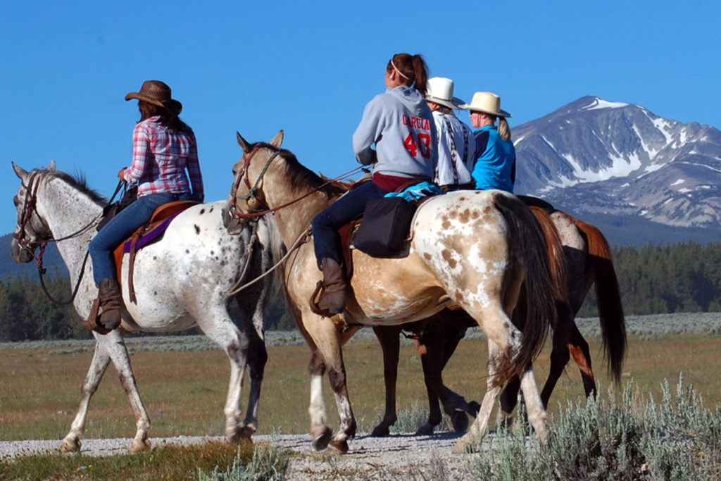 Yellowstone Horseback Ride 1 hour or 2 hours Tracks & Trails