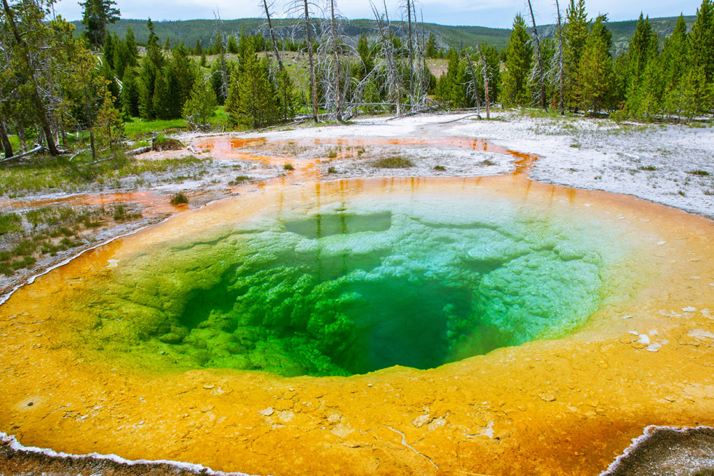 Yellowstone RV Trips | Tracks & Trails