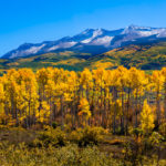 autumn leaves and snow capped mountain range
