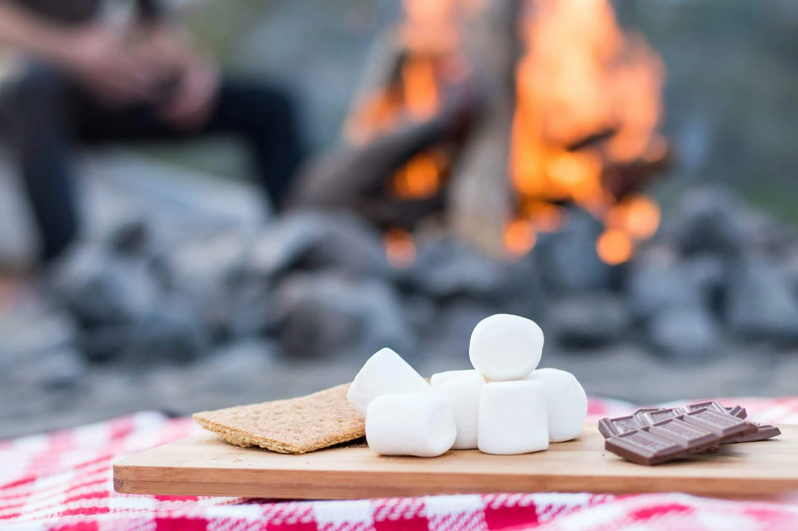 Cook Delicious Meals Over an Open Fire with These Helpful Tips - The RV  Advisor