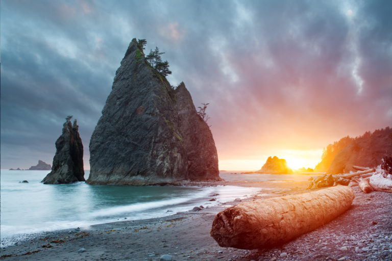 Olympic Peninsula - Tracks & Trails