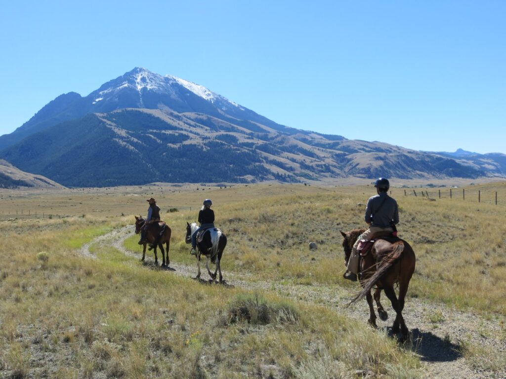 Paradise Valley Horseback Ride - 1 hour or 2 hours