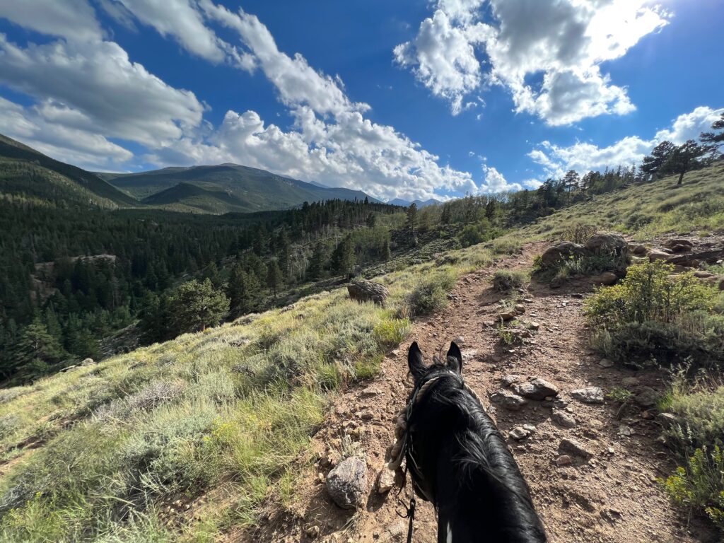 Rocky Mountain: Horseback Ride - 2 hours