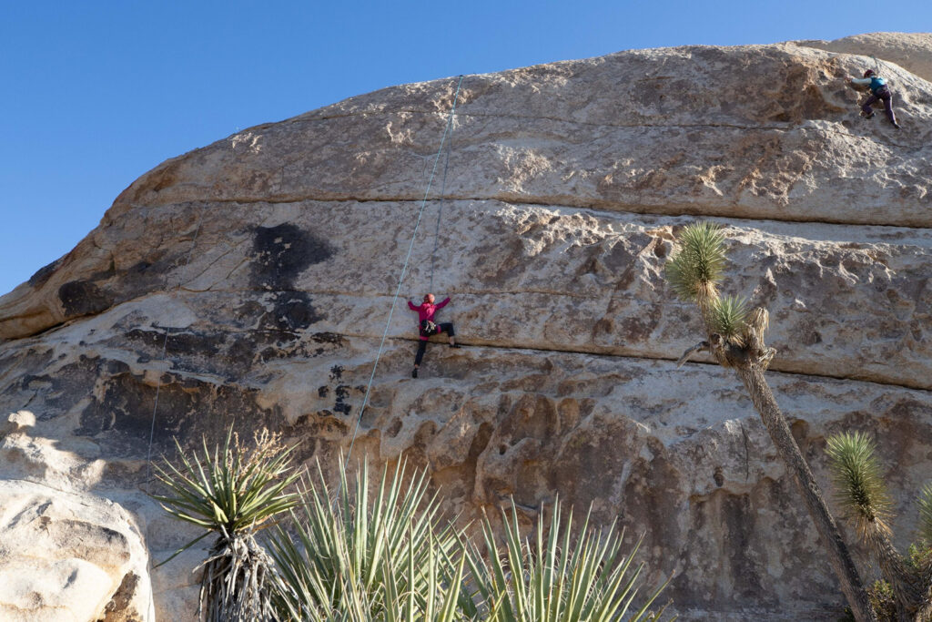 Joshua Tree Guided Rock Climbing – half-day