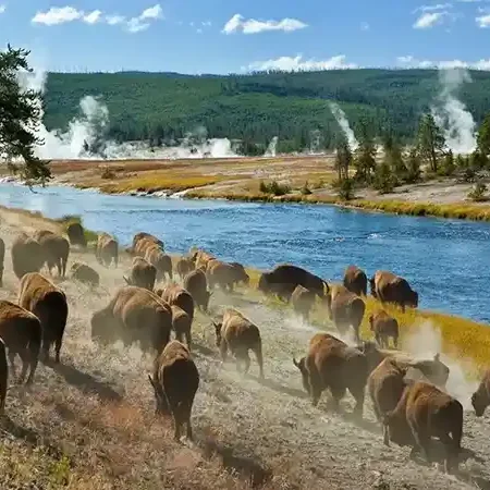 yellowstone-glacier-rv-trip